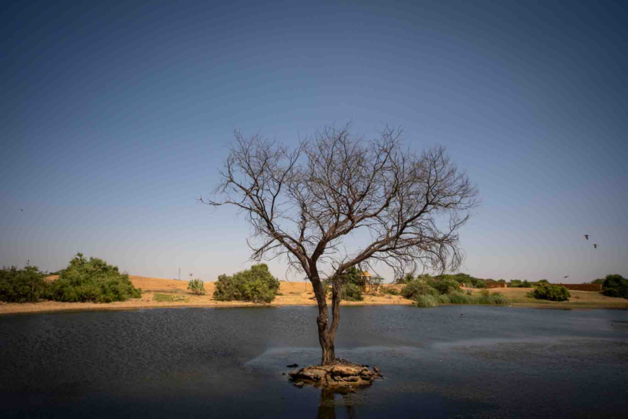 Dreamtime Bungalows Dreamy Desert Package Fossil Walk