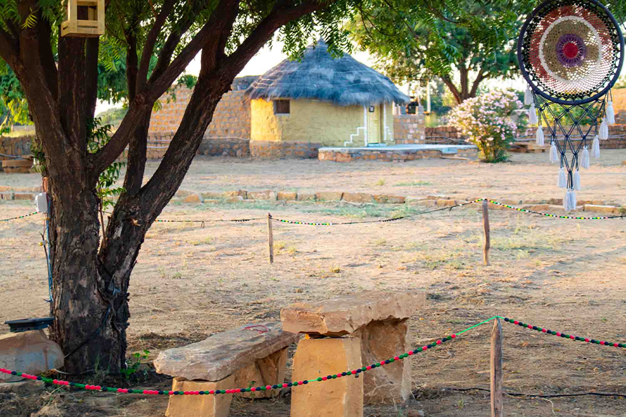 Dreamtime Bungalows Dreamy Desert Package oasis and hammocks