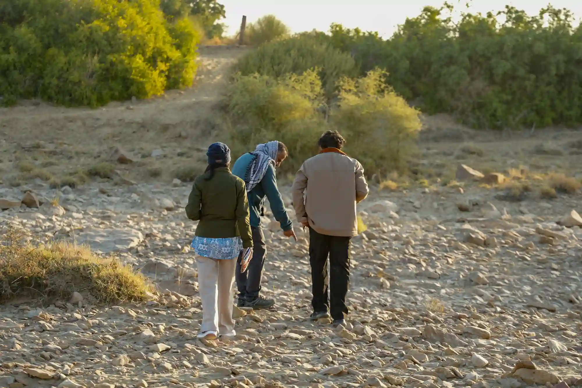 Fossil walk experience near Dreamtime Bungalows, Kuldhara Village