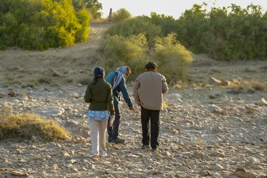 Guests exploring ancient fossils during guided fossil walk at Dreamtime Bungalows near Kuldhara Village, Jaisalmer