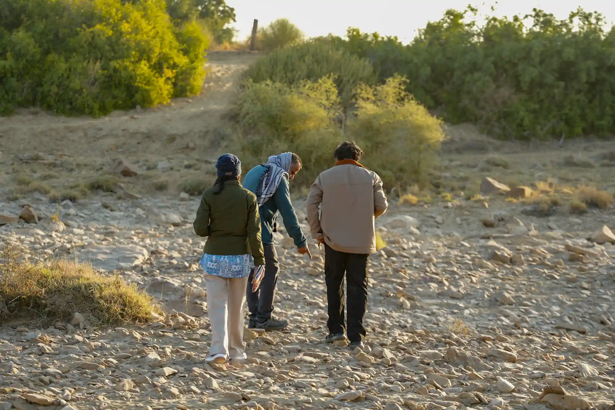 Guests exploring ancient fossils during guided fossil walk at Dreamtime Bungalows near Kuldhara Village, Jaisalmer