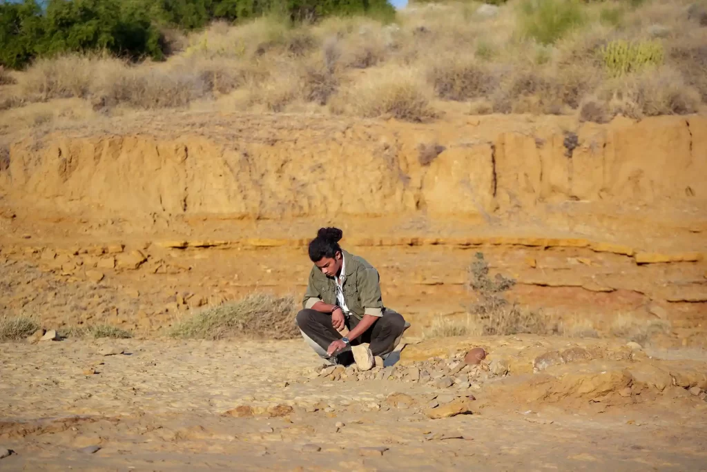 Guided fossil exploration showcasing ancient desert history at Dreamtime Bungalows